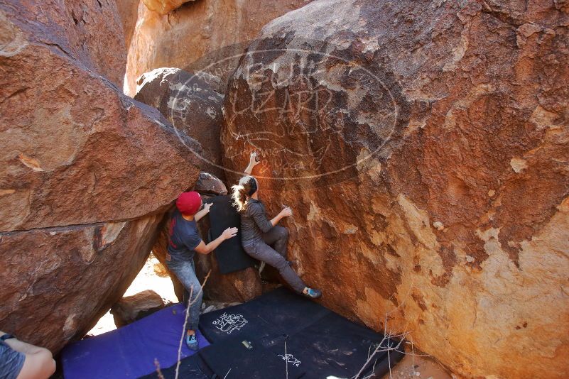 Bouldering in Hueco Tanks on 12/06/2019 with Blue Lizard Climbing and Yoga

Filename: SRM_20191206_1411210.jpg
Aperture: f/4.0
Shutter Speed: 1/250
Body: Canon EOS-1D Mark II
Lens: Canon EF 16-35mm f/2.8 L