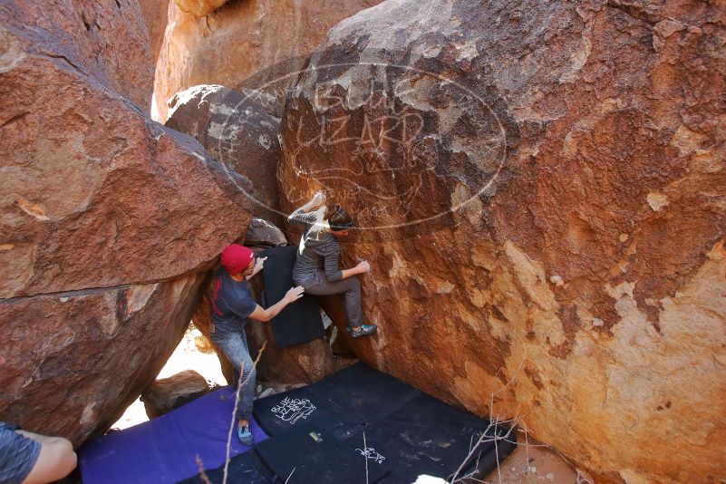 Bouldering in Hueco Tanks on 12/06/2019 with Blue Lizard Climbing and Yoga

Filename: SRM_20191206_1411250.jpg
Aperture: f/4.0
Shutter Speed: 1/250
Body: Canon EOS-1D Mark II
Lens: Canon EF 16-35mm f/2.8 L