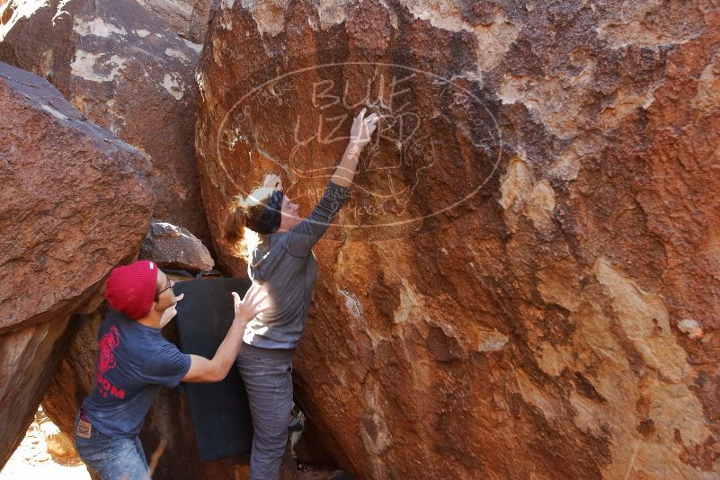 Bouldering in Hueco Tanks on 12/06/2019 with Blue Lizard Climbing and Yoga

Filename: SRM_20191206_1411272.jpg
Aperture: f/4.0
Shutter Speed: 1/250
Body: Canon EOS-1D Mark II
Lens: Canon EF 16-35mm f/2.8 L