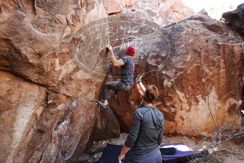 Bouldering in Hueco Tanks on 12/06/2019 with Blue Lizard Climbing and Yoga

Filename: SRM_20191206_1417570.jpg
Aperture: f/4.0
Shutter Speed: 1/250
Body: Canon EOS-1D Mark II
Lens: Canon EF 16-35mm f/2.8 L