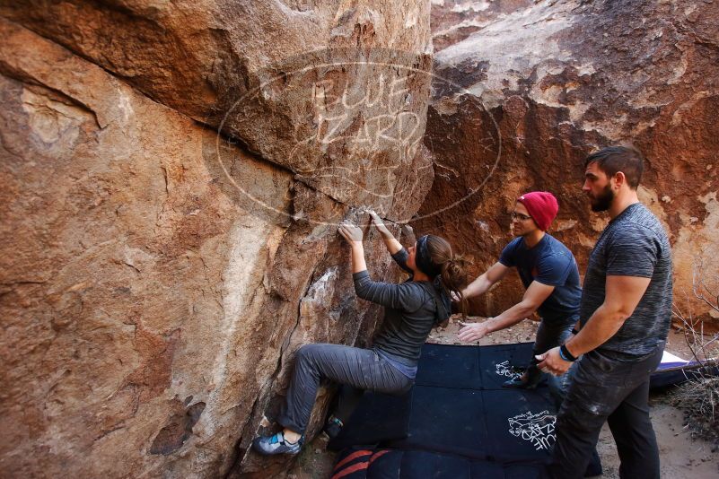 Bouldering in Hueco Tanks on 12/06/2019 with Blue Lizard Climbing and Yoga

Filename: SRM_20191206_1419100.jpg
Aperture: f/4.0
Shutter Speed: 1/250
Body: Canon EOS-1D Mark II
Lens: Canon EF 16-35mm f/2.8 L