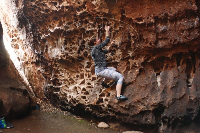 Bouldering in Hueco Tanks on 12/06/2019 with Blue Lizard Climbing and Yoga

Filename: SRM_20191206_1523230.jpg
Aperture: f/2.5
Shutter Speed: 1/250
Body: Canon EOS-1D Mark II
Lens: Canon EF 50mm f/1.8 II