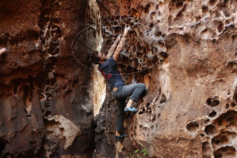 Bouldering in Hueco Tanks on 12/06/2019 with Blue Lizard Climbing and Yoga

Filename: SRM_20191206_1523330.jpg
Aperture: f/2.8
Shutter Speed: 1/250
Body: Canon EOS-1D Mark II
Lens: Canon EF 50mm f/1.8 II