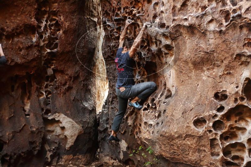 Bouldering in Hueco Tanks on 12/06/2019 with Blue Lizard Climbing and Yoga

Filename: SRM_20191206_1523350.jpg
Aperture: f/2.8
Shutter Speed: 1/250
Body: Canon EOS-1D Mark II
Lens: Canon EF 50mm f/1.8 II