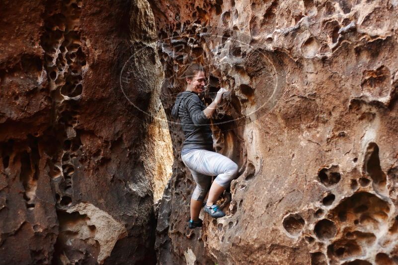 Bouldering in Hueco Tanks on 12/06/2019 with Blue Lizard Climbing and Yoga

Filename: SRM_20191206_1524250.jpg
Aperture: f/2.8
Shutter Speed: 1/250
Body: Canon EOS-1D Mark II
Lens: Canon EF 50mm f/1.8 II