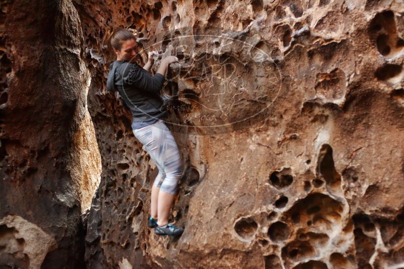 Bouldering in Hueco Tanks on 12/06/2019 with Blue Lizard Climbing and Yoga

Filename: SRM_20191206_1524360.jpg
Aperture: f/2.8
Shutter Speed: 1/250
Body: Canon EOS-1D Mark II
Lens: Canon EF 50mm f/1.8 II