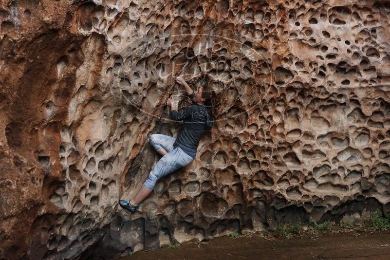 Bouldering in Hueco Tanks on 12/06/2019 with Blue Lizard Climbing and Yoga

Filename: SRM_20191206_1525450.jpg
Aperture: f/4.0
Shutter Speed: 1/250
Body: Canon EOS-1D Mark II
Lens: Canon EF 50mm f/1.8 II