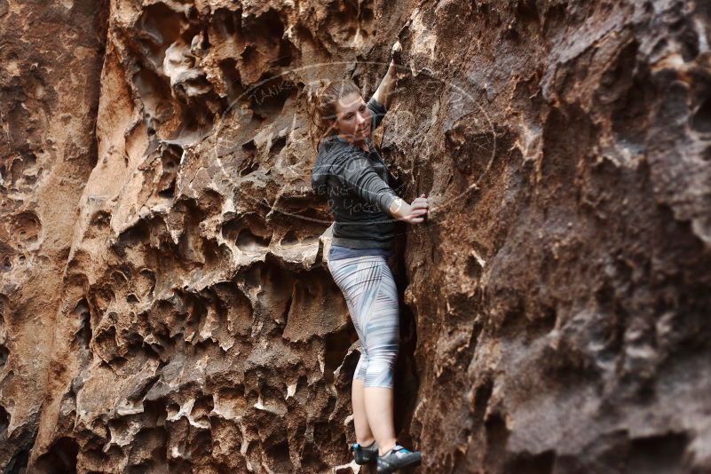 Bouldering in Hueco Tanks on 12/06/2019 with Blue Lizard Climbing and Yoga

Filename: SRM_20191206_1527440.jpg
Aperture: f/2.5
Shutter Speed: 1/200
Body: Canon EOS-1D Mark II
Lens: Canon EF 50mm f/1.8 II