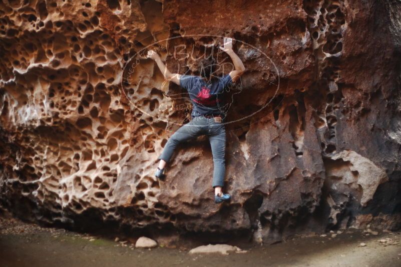 Bouldering in Hueco Tanks on 12/06/2019 with Blue Lizard Climbing and Yoga

Filename: SRM_20191206_1529110.jpg
Aperture: f/1.8
Shutter Speed: 1/200
Body: Canon EOS-1D Mark II
Lens: Canon EF 50mm f/1.8 II