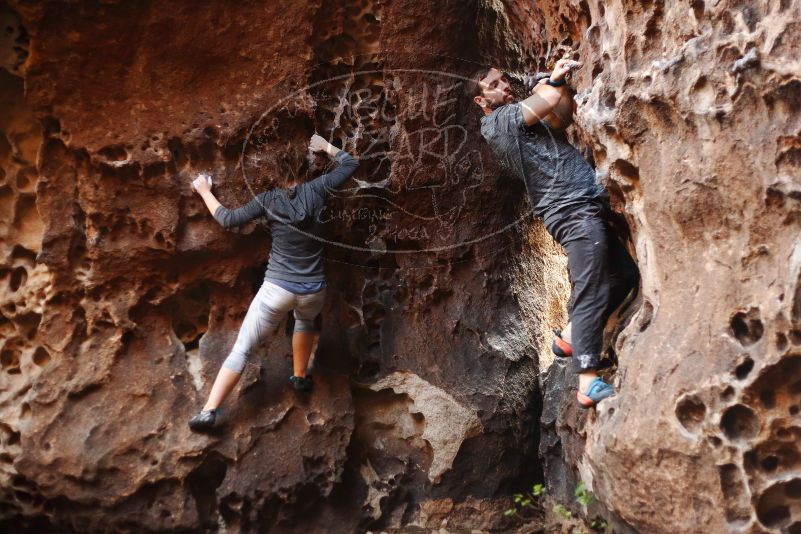 Bouldering in Hueco Tanks on 12/06/2019 with Blue Lizard Climbing and Yoga

Filename: SRM_20191206_1531460.jpg
Aperture: f/2.2
Shutter Speed: 1/160
Body: Canon EOS-1D Mark II
Lens: Canon EF 50mm f/1.8 II