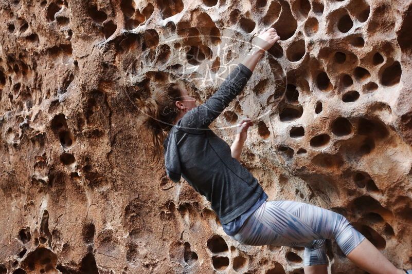 Bouldering in Hueco Tanks on 12/06/2019 with Blue Lizard Climbing and Yoga

Filename: SRM_20191206_1533250.jpg
Aperture: f/2.8
Shutter Speed: 1/160
Body: Canon EOS-1D Mark II
Lens: Canon EF 50mm f/1.8 II