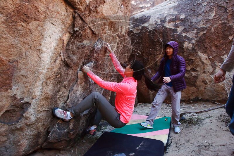 Bouldering in Hueco Tanks on 12/15/2019 with Blue Lizard Climbing and Yoga

Filename: SRM_20191215_1222110.jpg
Aperture: f/4.5
Shutter Speed: 1/200
Body: Canon EOS-1D Mark II
Lens: Canon EF 16-35mm f/2.8 L