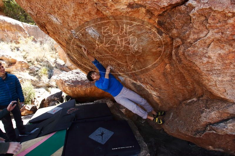 Bouldering in Hueco Tanks on 12/15/2019 with Blue Lizard Climbing and Yoga

Filename: SRM_20191215_1340190.jpg
Aperture: f/5.0
Shutter Speed: 1/250
Body: Canon EOS-1D Mark II
Lens: Canon EF 16-35mm f/2.8 L