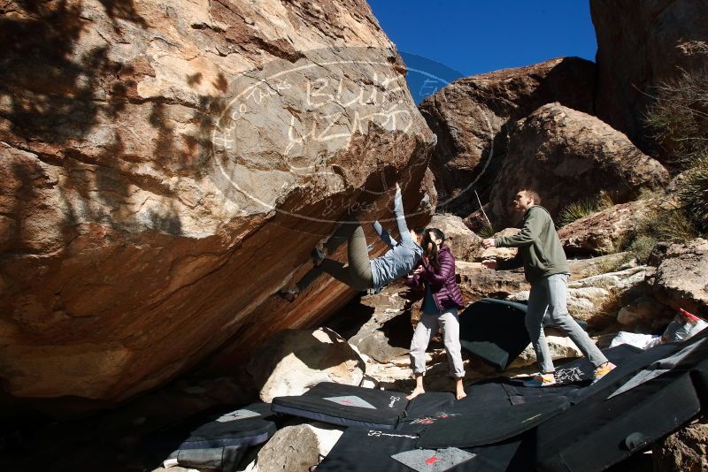 Bouldering in Hueco Tanks on 12/16/2019 with Blue Lizard Climbing and Yoga

Filename: SRM_20191216_1323020.jpg
Aperture: f/8.0
Shutter Speed: 1/250
Body: Canon EOS-1D Mark II
Lens: Canon EF 16-35mm f/2.8 L