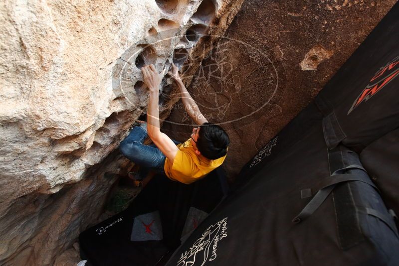 Bouldering in Hueco Tanks on 12/16/2019 with Blue Lizard Climbing and Yoga

Filename: SRM_20191216_1530380.jpg
Aperture: f/5.0
Shutter Speed: 1/250
Body: Canon EOS-1D Mark II
Lens: Canon EF 16-35mm f/2.8 L