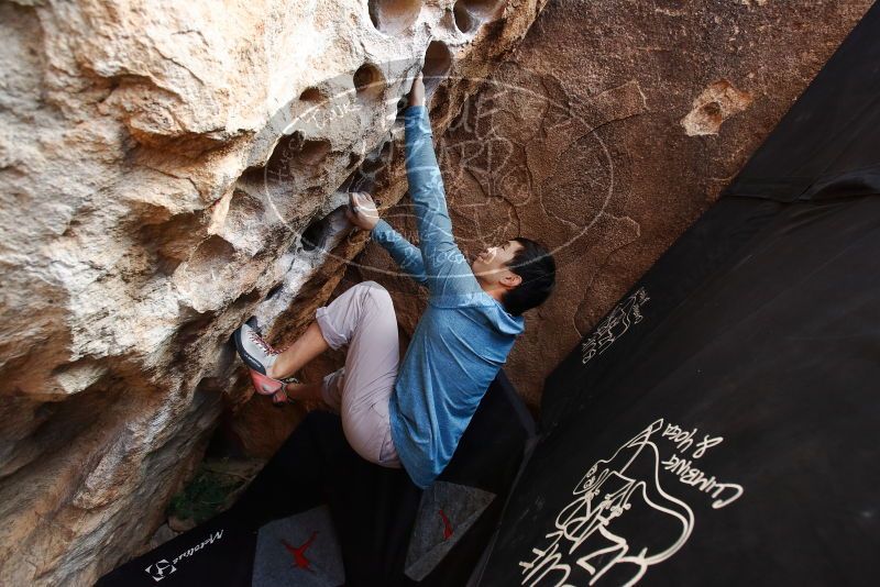 Bouldering in Hueco Tanks on 12/16/2019 with Blue Lizard Climbing and Yoga

Filename: SRM_20191216_1533000.jpg
Aperture: f/4.5
Shutter Speed: 1/250
Body: Canon EOS-1D Mark II
Lens: Canon EF 16-35mm f/2.8 L