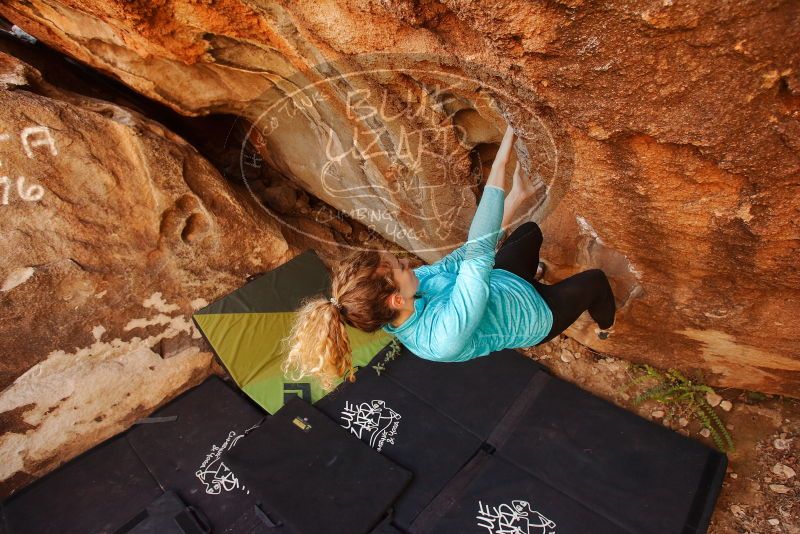 Bouldering in Hueco Tanks on 12/19/2019 with Blue Lizard Climbing and Yoga

Filename: SRM_20191219_1207560.jpg
Aperture: f/4.5
Shutter Speed: 1/250
Body: Canon EOS-1D Mark II
Lens: Canon EF 16-35mm f/2.8 L