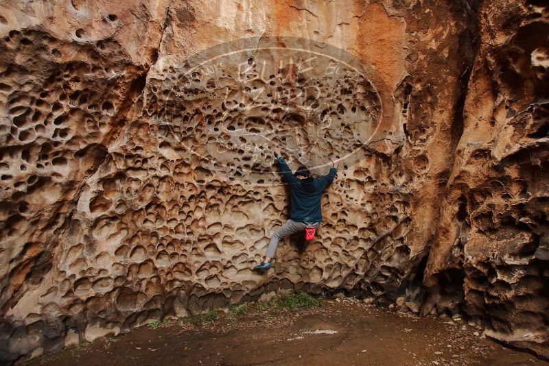 Bouldering in Hueco Tanks on 12/19/2019 with Blue Lizard Climbing and Yoga

Filename: SRM_20191219_1630280.jpg
Aperture: f/4.0
Shutter Speed: 1/100
Body: Canon EOS-1D Mark II
Lens: Canon EF 16-35mm f/2.8 L