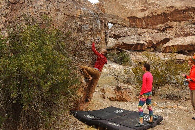 Bouldering in Hueco Tanks on 12/24/2019 with Blue Lizard Climbing and Yoga

Filename: SRM_20191224_1119160.jpg
Aperture: f/5.6
Shutter Speed: 1/320
Body: Canon EOS-1D Mark II
Lens: Canon EF 16-35mm f/2.8 L