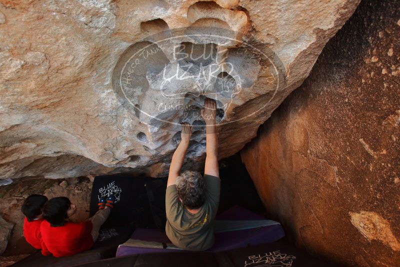 Bouldering in Hueco Tanks on 12/26/2019 with Blue Lizard Climbing and Yoga

Filename: SRM_20191226_1458060.jpg
Aperture: f/5.0
Shutter Speed: 1/250
Body: Canon EOS-1D Mark II
Lens: Canon EF 16-35mm f/2.8 L