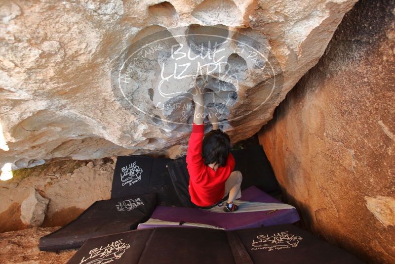 Bouldering in Hueco Tanks on 12/26/2019 with Blue Lizard Climbing and Yoga

Filename: SRM_20191226_1502380.jpg
Aperture: f/4.0
Shutter Speed: 1/250
Body: Canon EOS-1D Mark II
Lens: Canon EF 16-35mm f/2.8 L