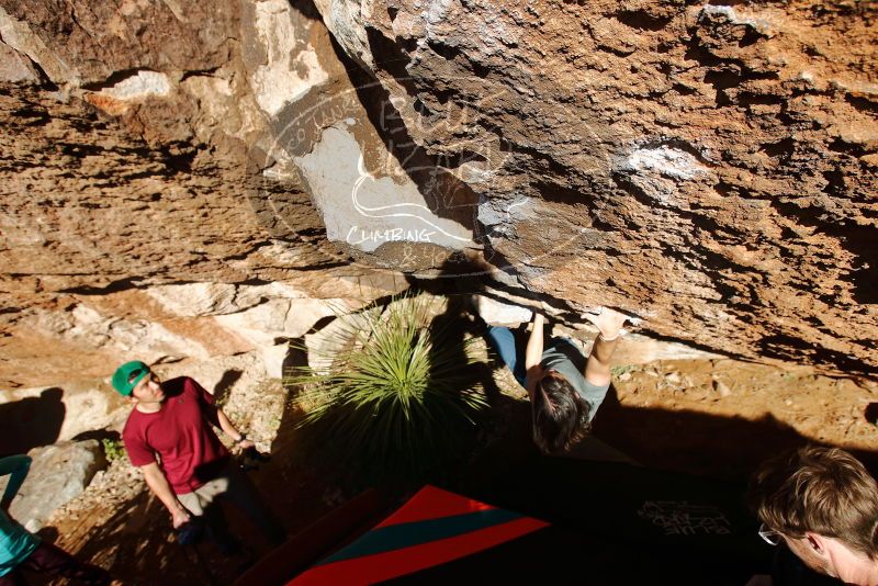 Bouldering in Hueco Tanks on 12/26/2019 with Blue Lizard Climbing and Yoga

Filename: SRM_20191226_1508071.jpg
Aperture: f/5.6
Shutter Speed: 1/400
Body: Canon EOS-1D Mark II
Lens: Canon EF 16-35mm f/2.8 L