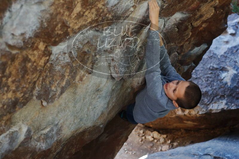 Bouldering in Hueco Tanks on 12/27/2019 with Blue Lizard Climbing and Yoga

Filename: SRM_20191227_1225180.jpg
Aperture: f/4.0
Shutter Speed: 1/320
Body: Canon EOS-1D Mark II
Lens: Canon EF 50mm f/1.8 II