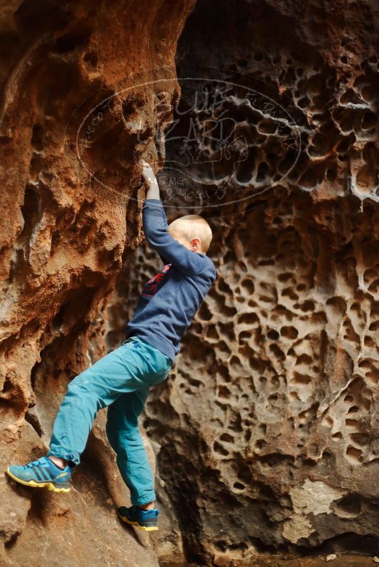 Bouldering in Hueco Tanks on 12/27/2019 with Blue Lizard Climbing and Yoga

Filename: SRM_20191227_1556491.jpg
Aperture: f/1.8
Shutter Speed: 1/125
Body: Canon EOS-1D Mark II
Lens: Canon EF 50mm f/1.8 II