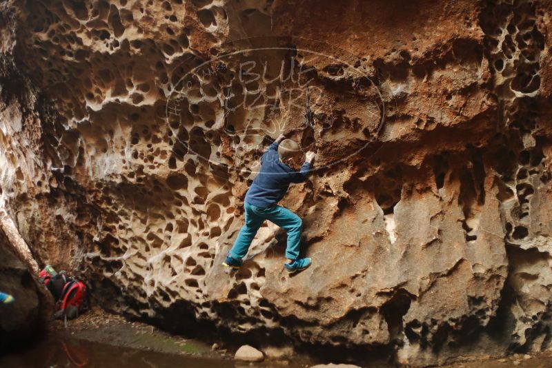 Bouldering in Hueco Tanks on 12/27/2019 with Blue Lizard Climbing and Yoga

Filename: SRM_20191227_1606150.jpg
Aperture: f/2.2
Shutter Speed: 1/200
Body: Canon EOS-1D Mark II
Lens: Canon EF 50mm f/1.8 II