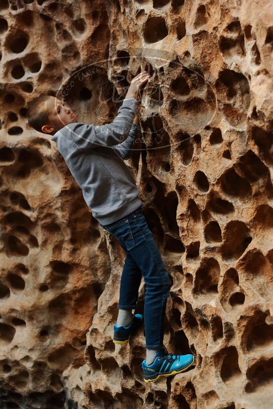 Bouldering in Hueco Tanks on 12/27/2019 with Blue Lizard Climbing and Yoga

Filename: SRM_20191227_1606441.jpg
Aperture: f/3.2
Shutter Speed: 1/200
Body: Canon EOS-1D Mark II
Lens: Canon EF 50mm f/1.8 II