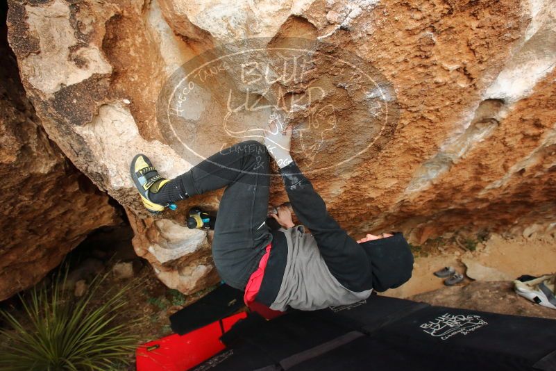 Bouldering in Hueco Tanks on 12/28/2019 with Blue Lizard Climbing and Yoga

Filename: SRM_20191228_1724370.jpg
Aperture: f/5.0
Shutter Speed: 1/250
Body: Canon EOS-1D Mark II
Lens: Canon EF 16-35mm f/2.8 L