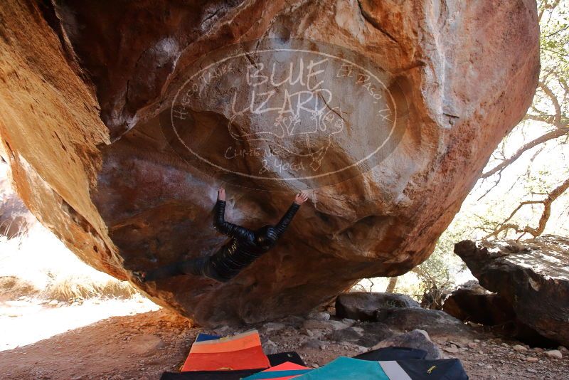 Bouldering in Hueco Tanks on 12/29/2019 with Blue Lizard Climbing and Yoga

Filename: SRM_20191229_1408120.jpg
Aperture: f/4.0
Shutter Speed: 1/320
Body: Canon EOS-1D Mark II
Lens: Canon EF 16-35mm f/2.8 L