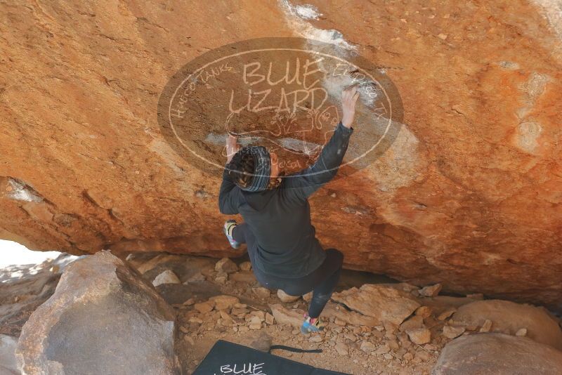 Bouldering in Hueco Tanks on 12/29/2019 with Blue Lizard Climbing and Yoga

Filename: SRM_20191229_1545280.jpg
Aperture: f/3.2
Shutter Speed: 1/400
Body: Canon EOS-1D Mark II
Lens: Canon EF 50mm f/1.8 II