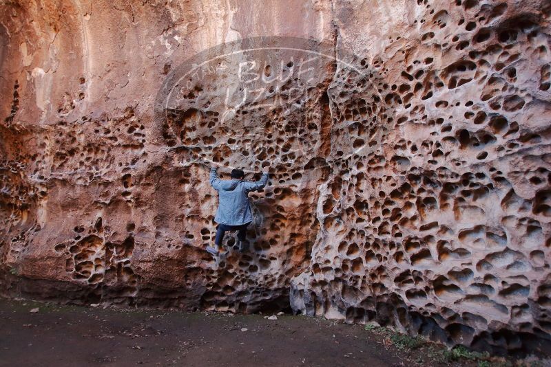 Bouldering in Hueco Tanks on 12/30/2019 with Blue Lizard Climbing and Yoga

Filename: SRM_20191230_1512470.jpg
Aperture: f/3.5
Shutter Speed: 1/100
Body: Canon EOS-1D Mark II
Lens: Canon EF 16-35mm f/2.8 L