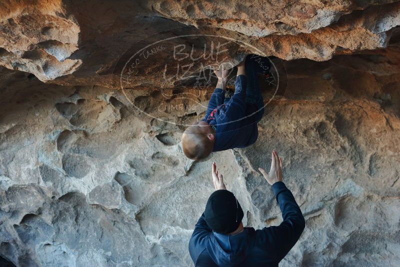 Bouldering in Hueco Tanks on 01/01/2020 with Blue Lizard Climbing and Yoga

Filename: SRM_20200101_1555120.jpg
Aperture: f/4.5
Shutter Speed: 1/250
Body: Canon EOS-1D Mark II
Lens: Canon EF 50mm f/1.8 II