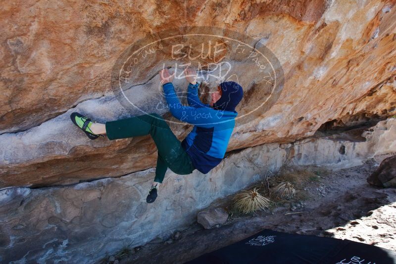 Bouldering in Hueco Tanks on 01/03/2020 with Blue Lizard Climbing and Yoga

Filename: SRM_20200103_1300010.jpg
Aperture: f/5.6
Shutter Speed: 1/320
Body: Canon EOS-1D Mark II
Lens: Canon EF 16-35mm f/2.8 L