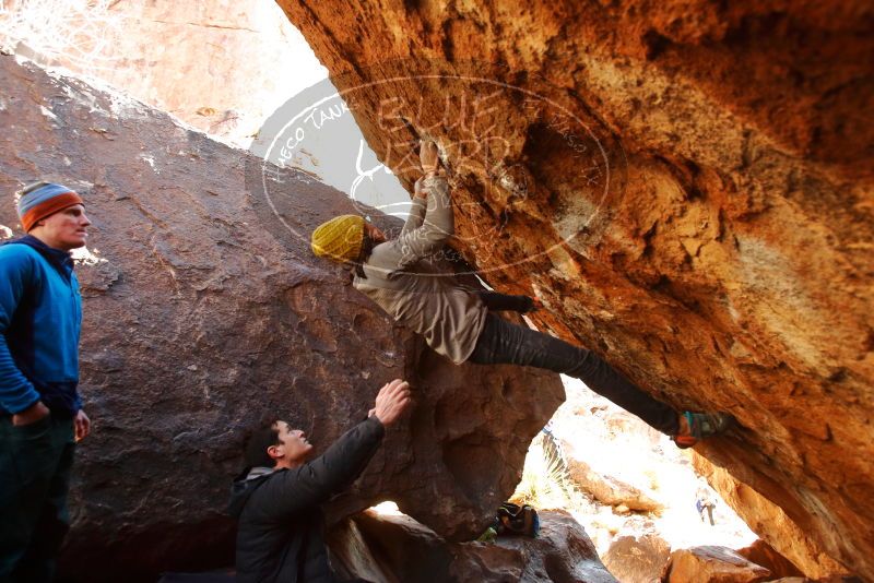 Bouldering in Hueco Tanks on 01/03/2020 with Blue Lizard Climbing and Yoga

Filename: SRM_20200103_1553350.jpg
Aperture: f/4.0
Shutter Speed: 1/250
Body: Canon EOS-1D Mark II
Lens: Canon EF 16-35mm f/2.8 L