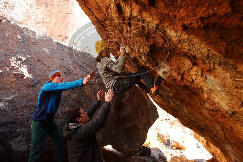 Bouldering in Hueco Tanks on 01/03/2020 with Blue Lizard Climbing and Yoga

Filename: SRM_20200103_1553460.jpg
Aperture: f/4.0
Shutter Speed: 1/250
Body: Canon EOS-1D Mark II
Lens: Canon EF 16-35mm f/2.8 L