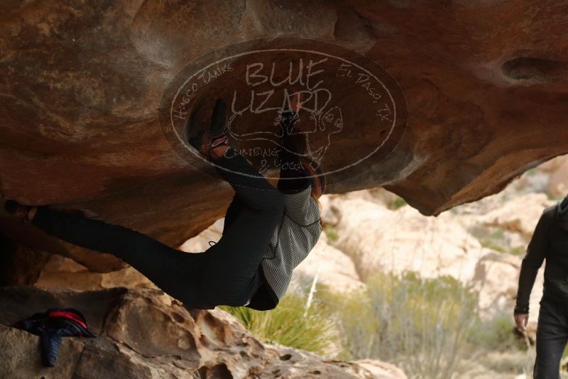 Bouldering in Hueco Tanks on 01/02/2020 with Blue Lizard Climbing and Yoga

Filename: SRM_20200102_1133330.jpg
Aperture: f/3.2
Shutter Speed: 1/250
Body: Canon EOS-1D Mark II
Lens: Canon EF 50mm f/1.8 II