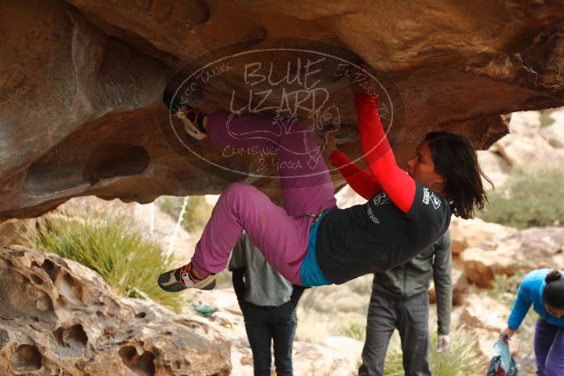 Bouldering in Hueco Tanks on 01/02/2020 with Blue Lizard Climbing and Yoga

Filename: SRM_20200102_1134040.jpg
Aperture: f/3.2
Shutter Speed: 1/250
Body: Canon EOS-1D Mark II
Lens: Canon EF 50mm f/1.8 II