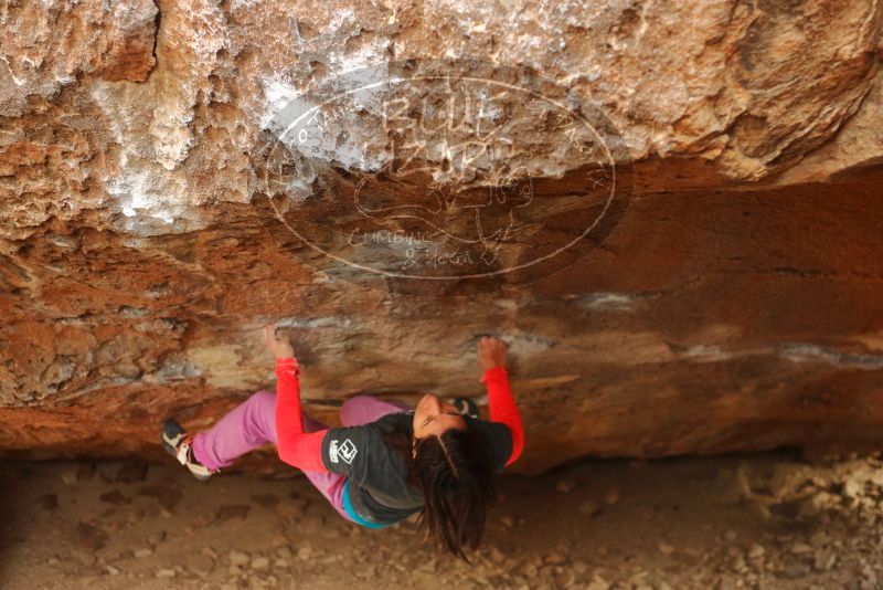 Bouldering in Hueco Tanks on 01/02/2020 with Blue Lizard Climbing and Yoga

Filename: SRM_20200102_1633230.jpg
Aperture: f/2.8
Shutter Speed: 1/250
Body: Canon EOS-1D Mark II
Lens: Canon EF 50mm f/1.8 II