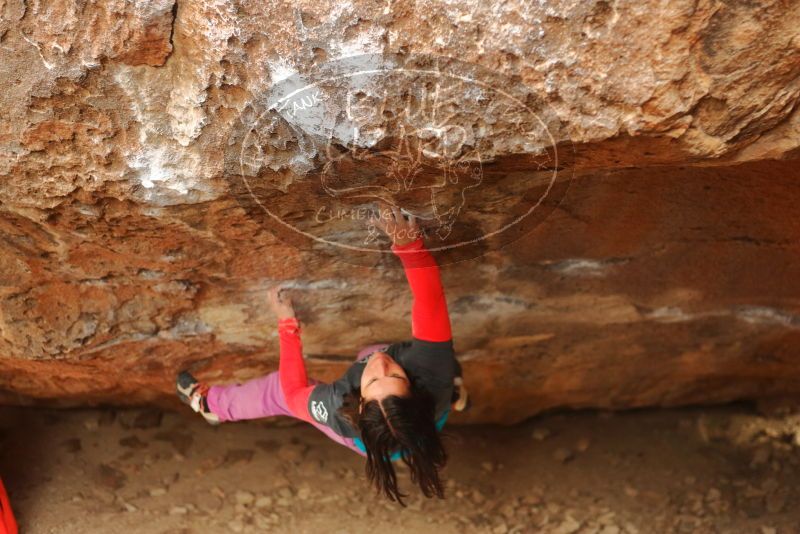 Bouldering in Hueco Tanks on 01/02/2020 with Blue Lizard Climbing and Yoga

Filename: SRM_20200102_1633240.jpg
Aperture: f/2.8
Shutter Speed: 1/250
Body: Canon EOS-1D Mark II
Lens: Canon EF 50mm f/1.8 II