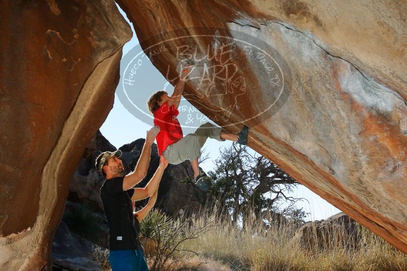 Bouldering in Hueco Tanks on 01/05/2020 with Blue Lizard Climbing and Yoga

Filename: SRM_20200105_1159580.jpg
Aperture: f/8.0
Shutter Speed: 1/250
Body: Canon EOS-1D Mark II
Lens: Canon EF 16-35mm f/2.8 L