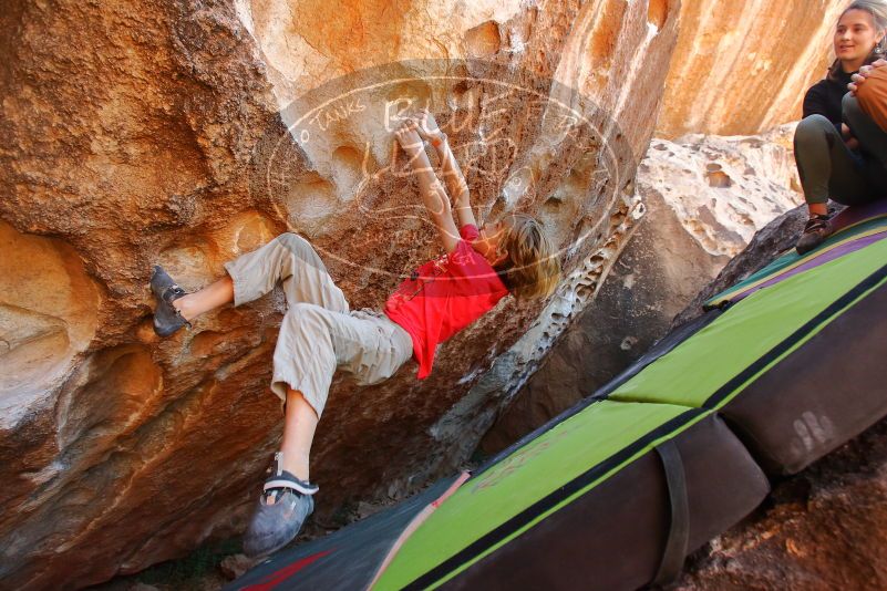 Bouldering in Hueco Tanks on 01/05/2020 with Blue Lizard Climbing and Yoga

Filename: SRM_20200105_1324010.jpg
Aperture: f/5.0
Shutter Speed: 1/250
Body: Canon EOS-1D Mark II
Lens: Canon EF 16-35mm f/2.8 L