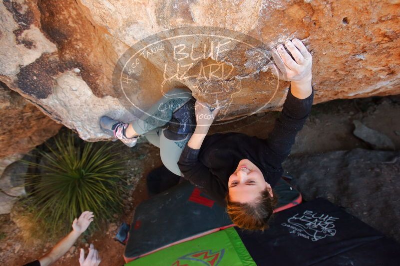 Bouldering in Hueco Tanks on 01/05/2020 with Blue Lizard Climbing and Yoga

Filename: SRM_20200105_1327221.jpg
Aperture: f/4.5
Shutter Speed: 1/250
Body: Canon EOS-1D Mark II
Lens: Canon EF 16-35mm f/2.8 L