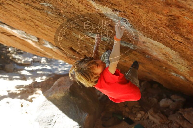 Bouldering in Hueco Tanks on 01/05/2020 with Blue Lizard Climbing and Yoga

Filename: SRM_20200105_1413221.jpg
Aperture: f/4.5
Shutter Speed: 1/400
Body: Canon EOS-1D Mark II
Lens: Canon EF 50mm f/1.8 II