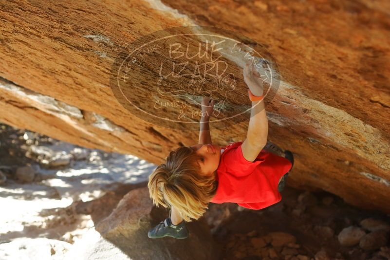 Bouldering in Hueco Tanks on 01/05/2020 with Blue Lizard Climbing and Yoga

Filename: SRM_20200105_1414540.jpg
Aperture: f/2.8
Shutter Speed: 1/640
Body: Canon EOS-1D Mark II
Lens: Canon EF 50mm f/1.8 II