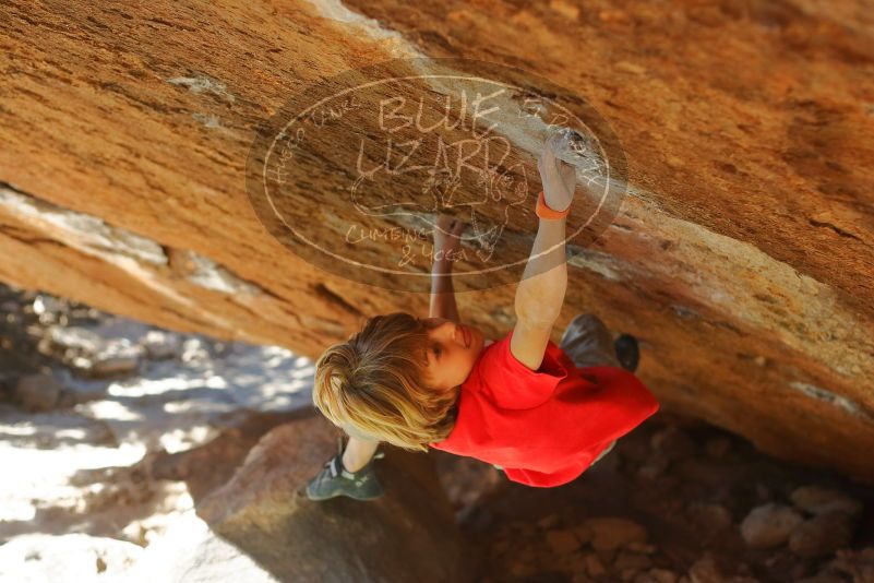 Bouldering in Hueco Tanks on 01/05/2020 with Blue Lizard Climbing and Yoga

Filename: SRM_20200105_1414541.jpg
Aperture: f/2.8
Shutter Speed: 1/640
Body: Canon EOS-1D Mark II
Lens: Canon EF 50mm f/1.8 II