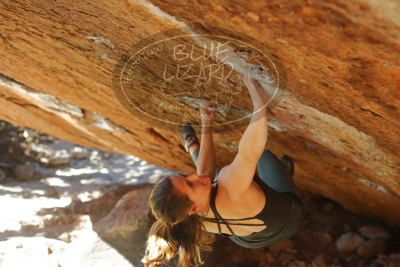 Bouldering in Hueco Tanks on 01/05/2020 with Blue Lizard Climbing and Yoga

Filename: SRM_20200105_1415350.jpg
Aperture: f/2.8
Shutter Speed: 1/640
Body: Canon EOS-1D Mark II
Lens: Canon EF 50mm f/1.8 II