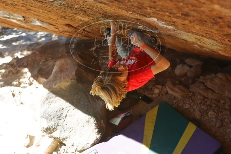 Bouldering in Hueco Tanks on 01/05/2020 with Blue Lizard Climbing and Yoga

Filename: SRM_20200105_1417281.jpg
Aperture: f/4.0
Shutter Speed: 1/800
Body: Canon EOS-1D Mark II
Lens: Canon EF 50mm f/1.8 II